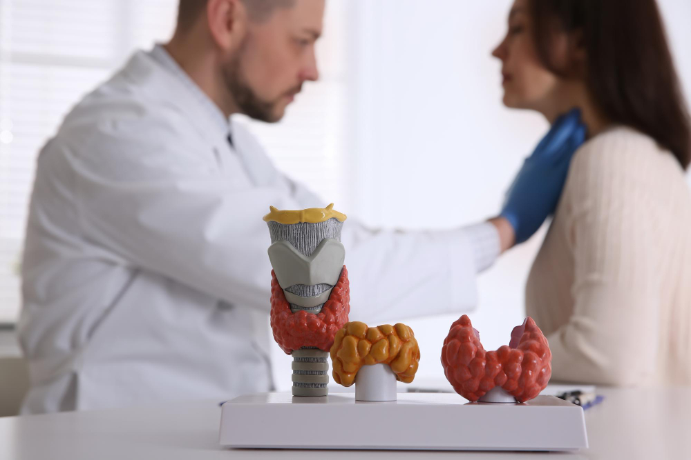 Thyroid Disorders: Identifying the Difference Between Hypothyroidism and Hyperthyroidism
